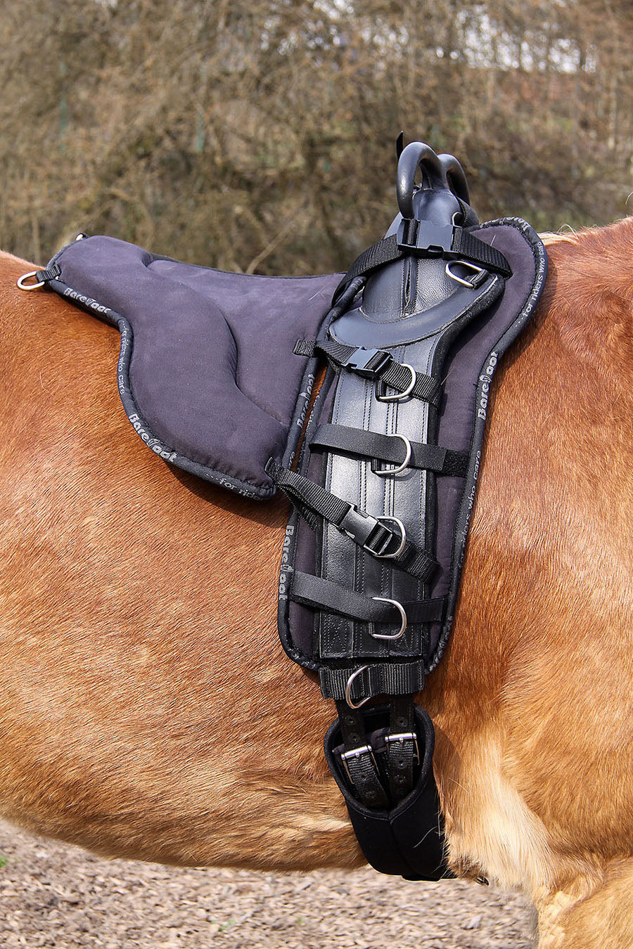 Riding pad for Surcingle - Barefoot Saddles Australia