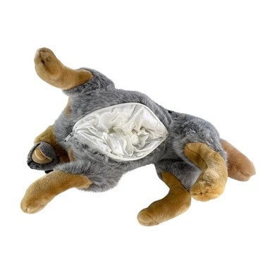 Diesel (Cattle Dog with satin pocket - 62cm lying)