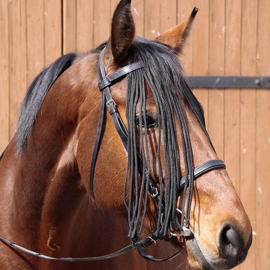 Browband Set 2-in-1 with Fly Protection - Barefoot Saddles Australia