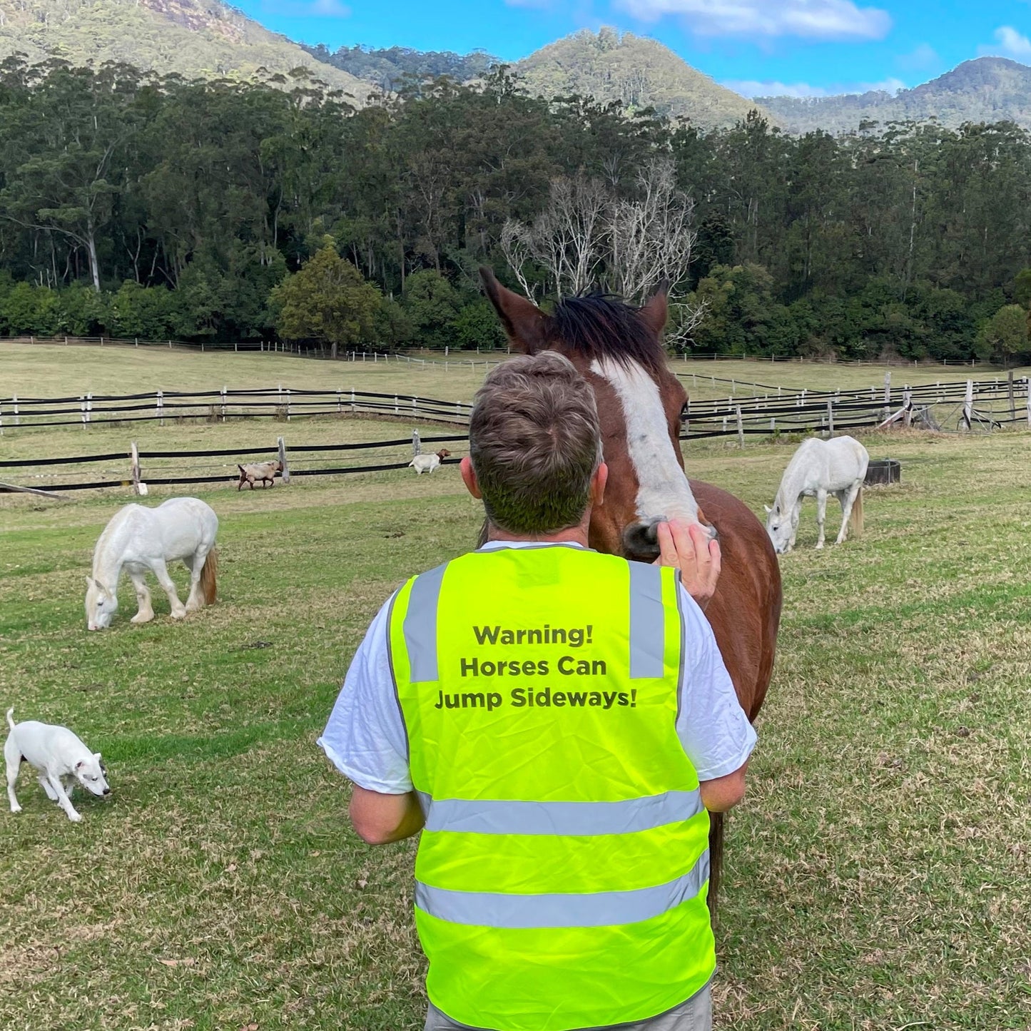 Safety Vest - Barefoot Saddles Australia