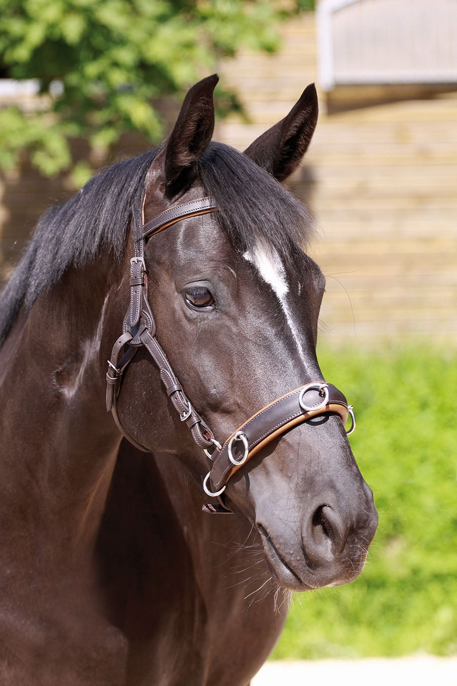 Barefoot® 'shape-it'-Cavesson - Barefoot Saddles Australia