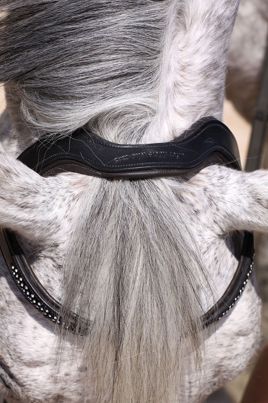 Barefoot® 'Contour Jewel' Bitless Bridle - Barefoot Saddles Australia