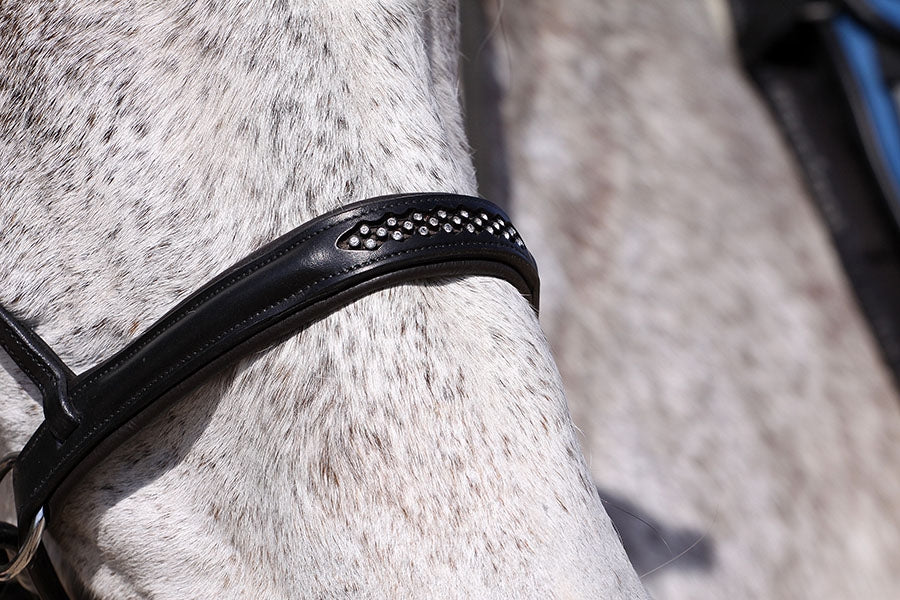 Barefoot® 'Contour Jewel' Bitless Bridle - Barefoot Saddles Australia