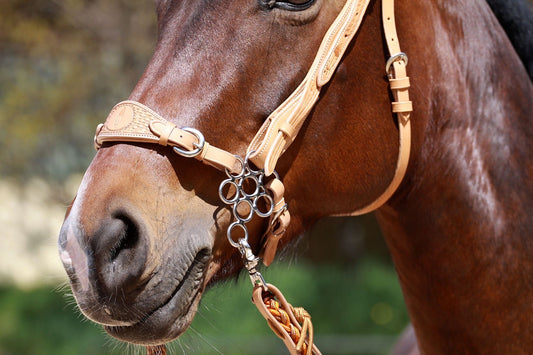 Hackamore 'Flower' - Nose and Chin Strap sold separately - Barefoot Saddles Australia