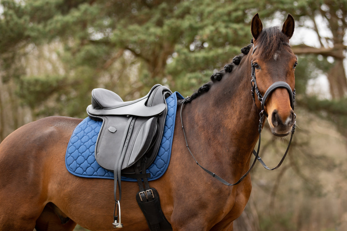 Dressage saddlepad - Barefoot Saddles Australia