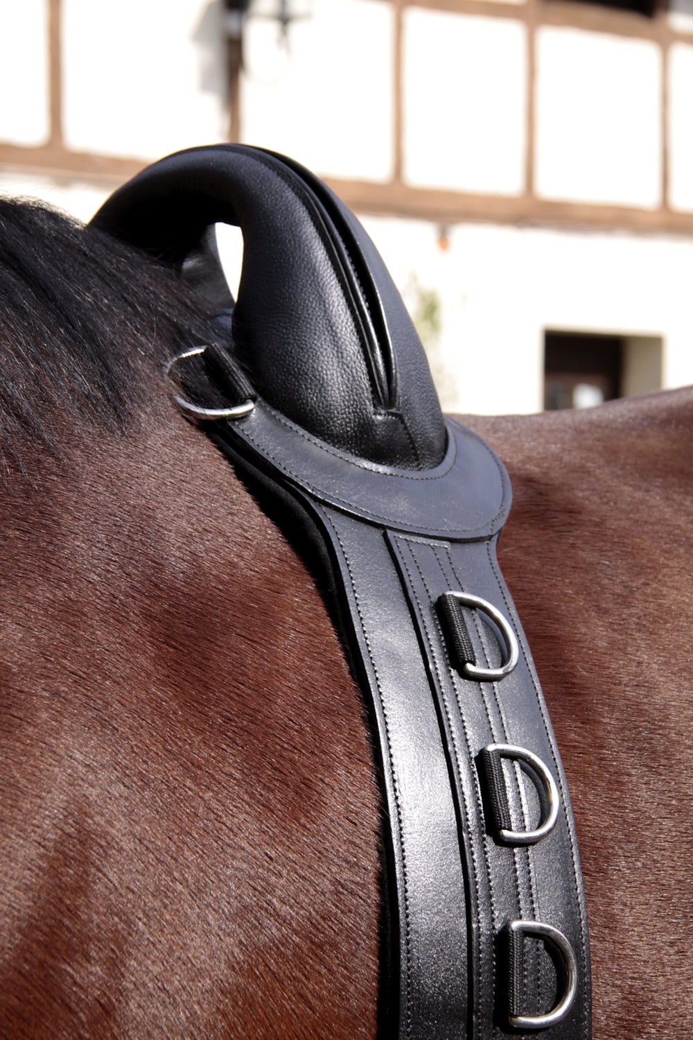 Barefoot® Surcingle, Leather - Barefoot Saddles Australia