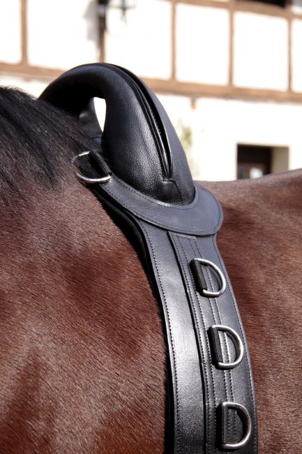Barefoot® Surcingle, Leather - Barefoot Saddles Australia