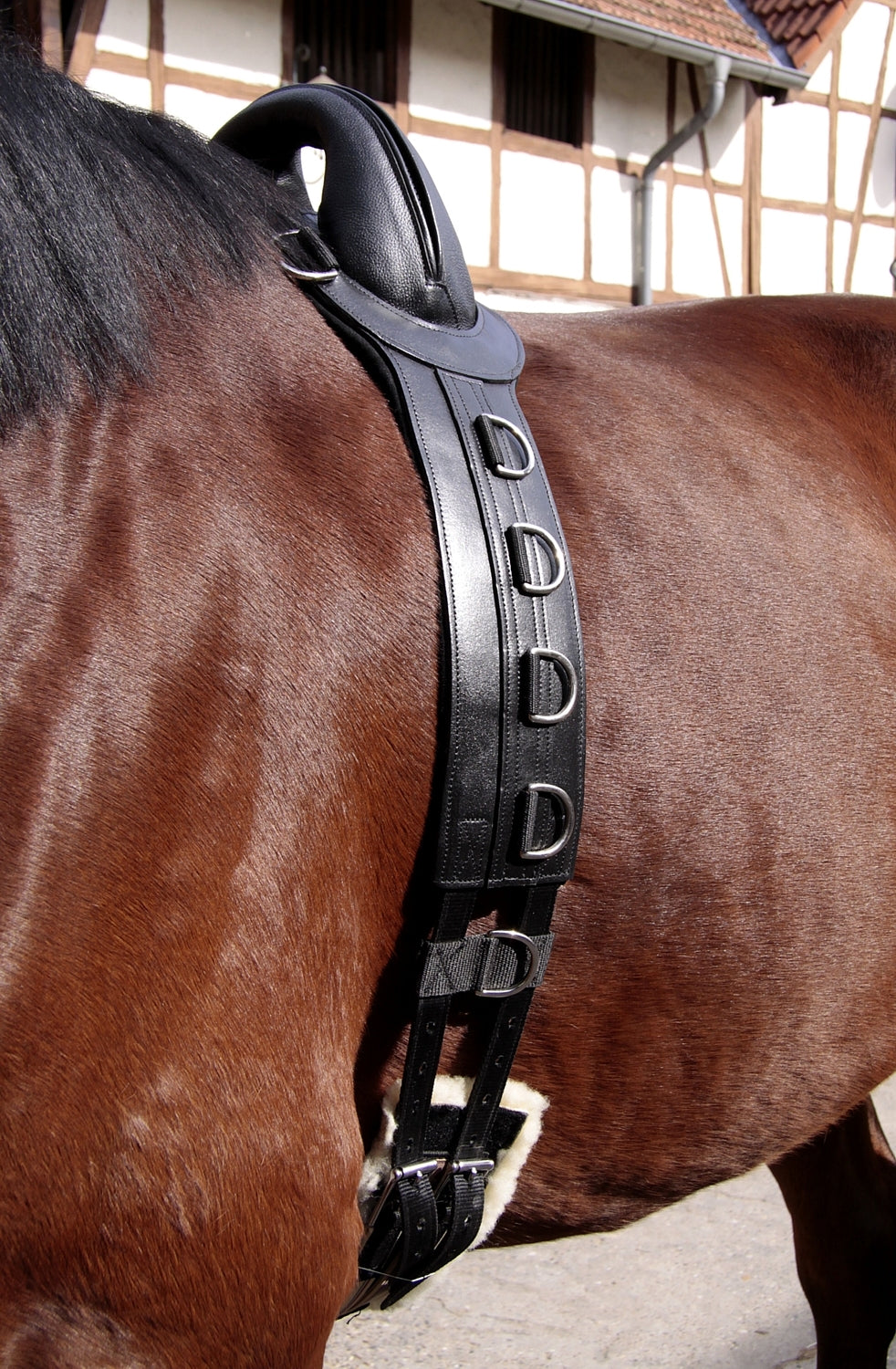 Barefoot® Surcingle, Leather - Barefoot Saddles Australia