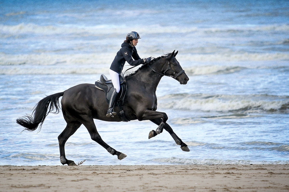 Barefoot® Wellington Dressage Saddle - Barefoot Saddles Australia