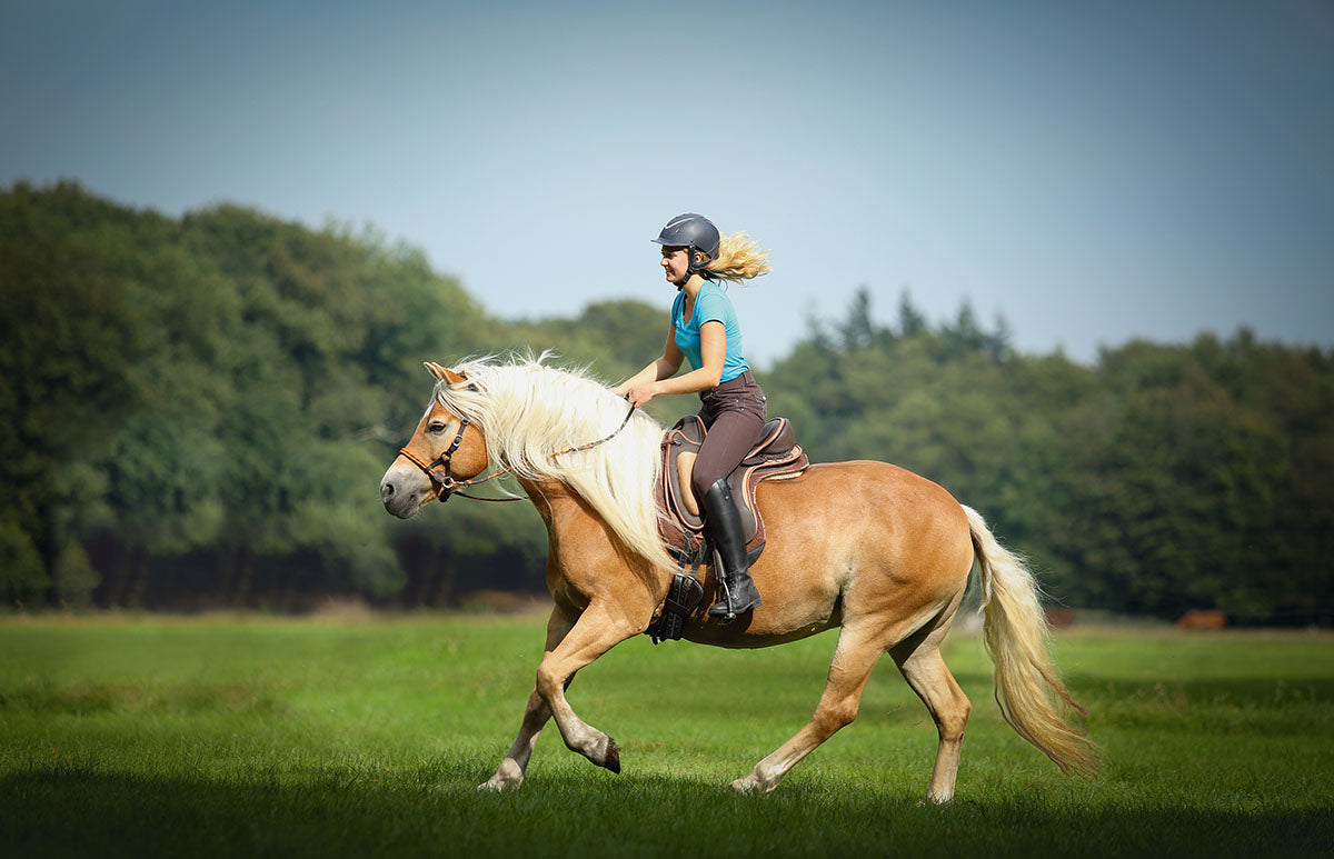Barefoot 'Barrydale' Saddle - Barefoot Saddles Australia