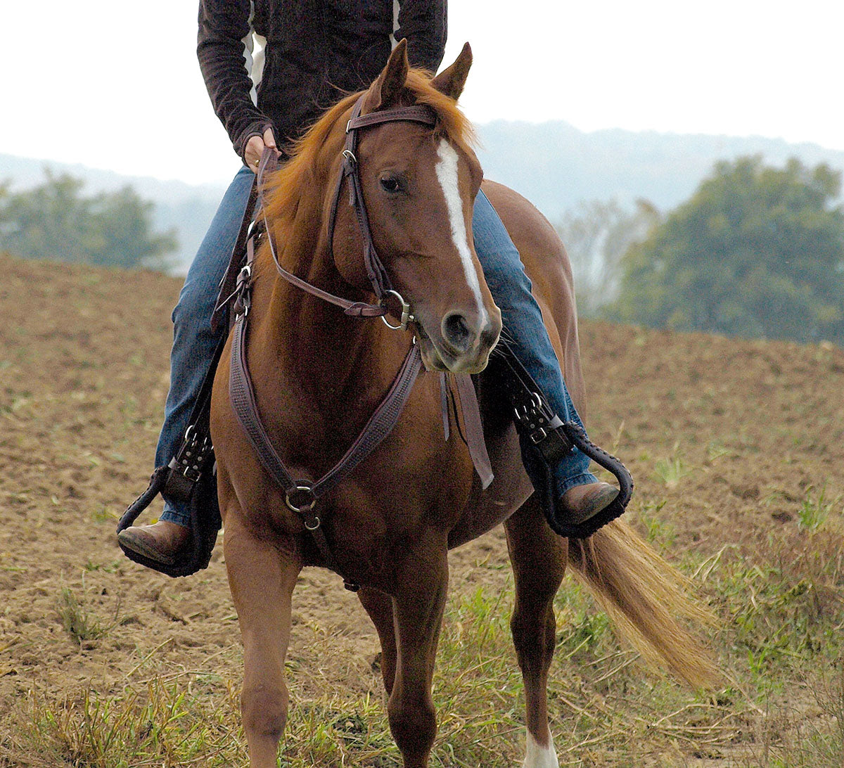 Adjustable Breastplate - Barefoot Saddles Australia