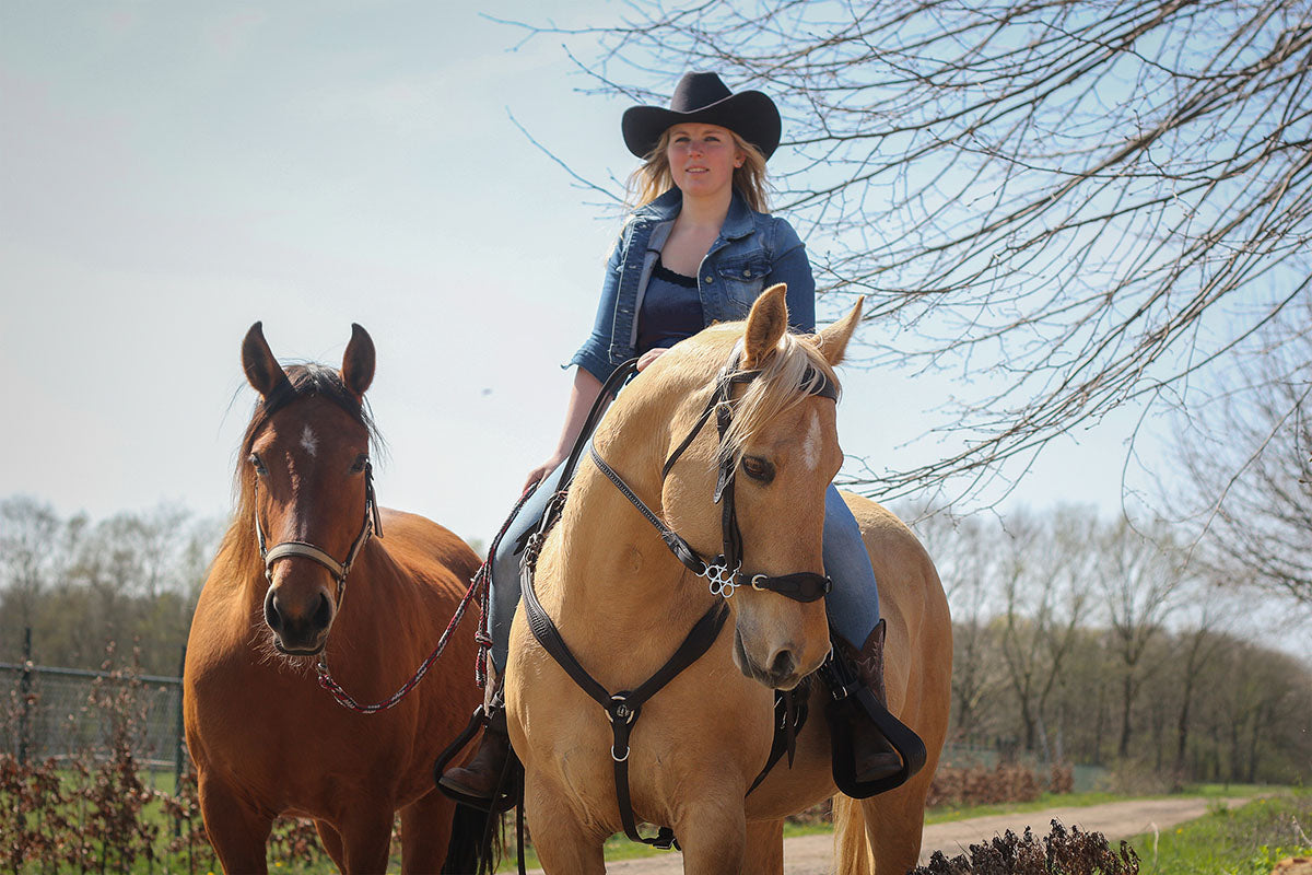 Adjustable Breastplate - Barefoot Saddles Australia