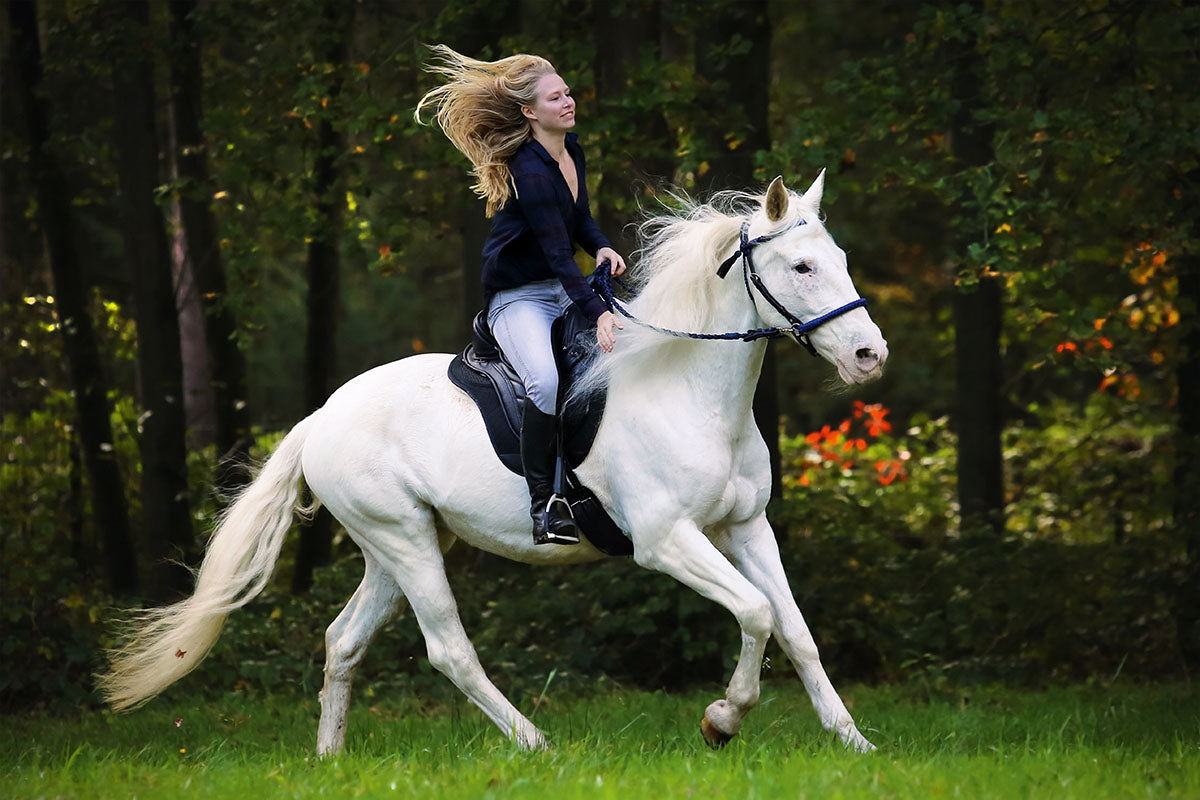 Barefoot 'Cheyenne' Saddle leather - Barefoot Saddles Australia