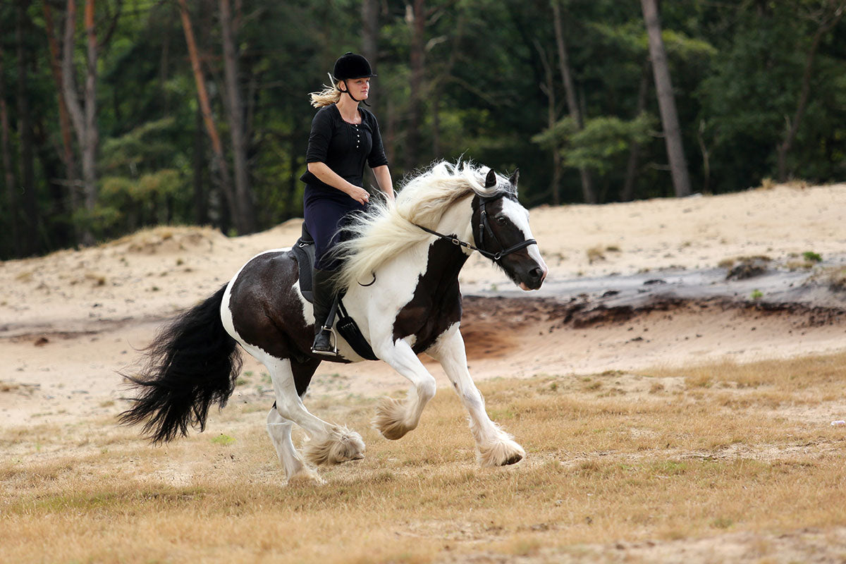 Barefoot® Saddle 'JustAdjust' - Barefoot Saddles Australia