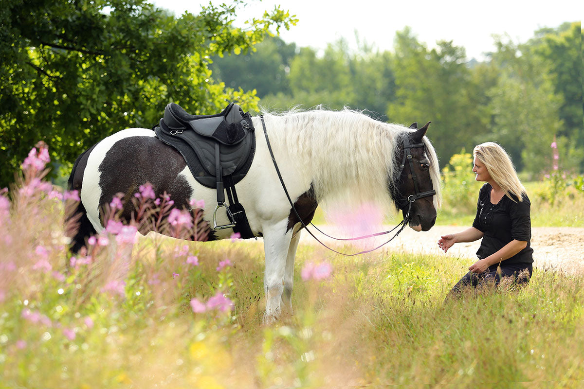 Barefoot® Saddle 'JustAdjust' - Barefoot Saddles Australia