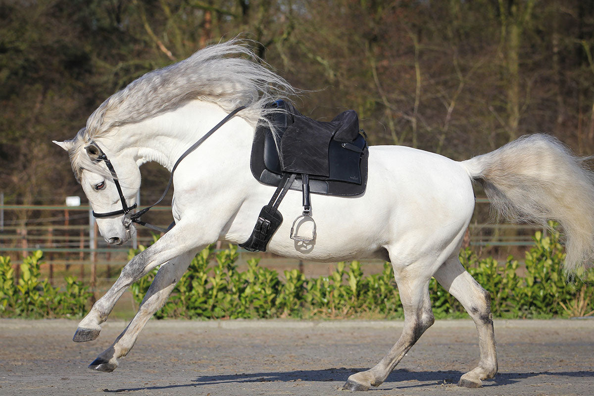 Barefoot Saddle Madrid - Barefoot Saddles Australia