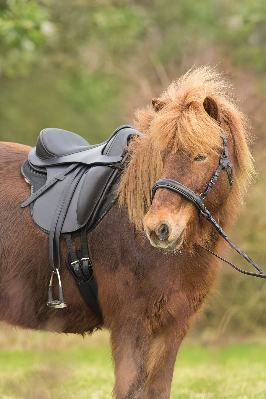 Barefoot® Merlyn - dressage saddle - Barefoot Saddles Australia