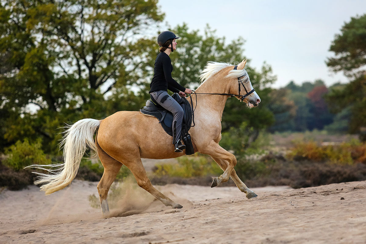 Barefoot® Merlyn - dressage saddle - Barefoot Saddles Australia