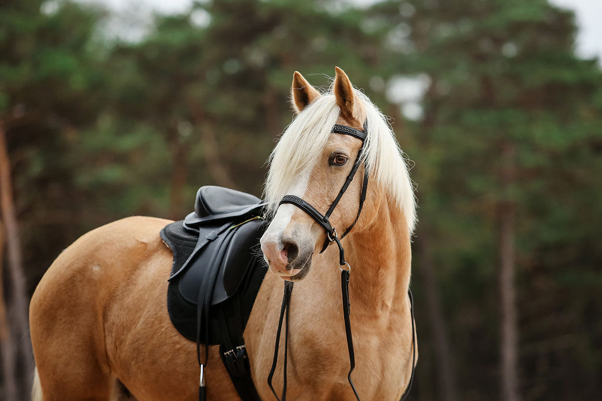 Barefoot® Merlyn - dressage saddle - Barefoot Saddles Australia