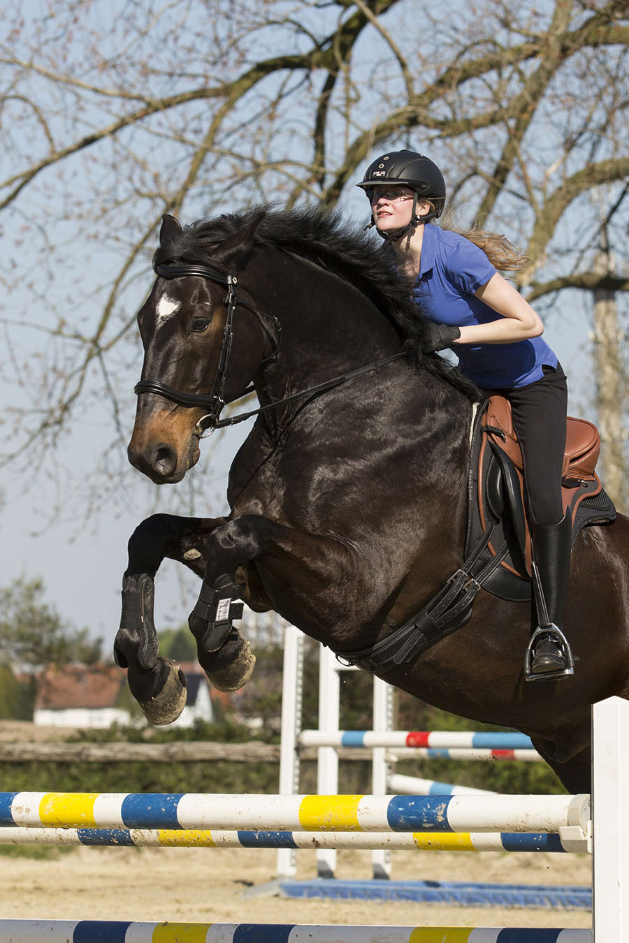 Barefoot Saddle Nottingham - Barefoot Saddles Australia