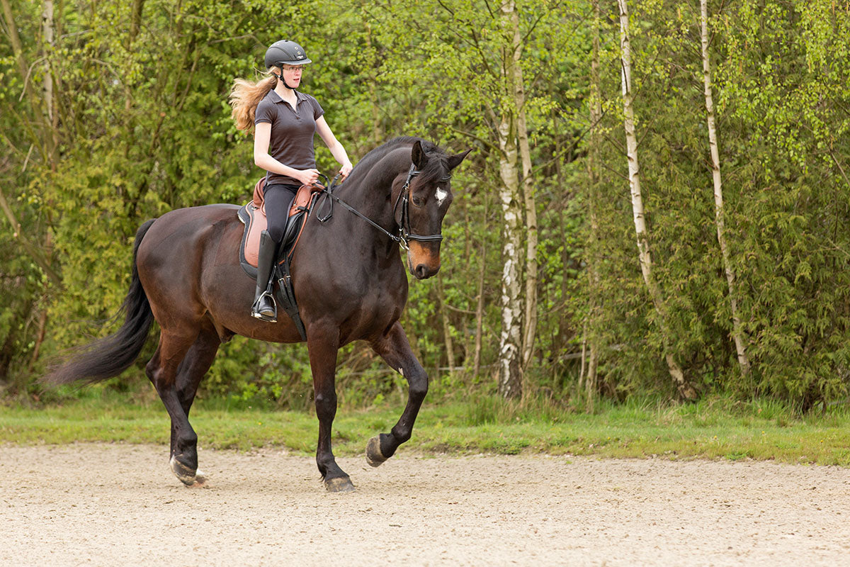 Barefoot Saddle Nottingham - Barefoot Saddles Australia