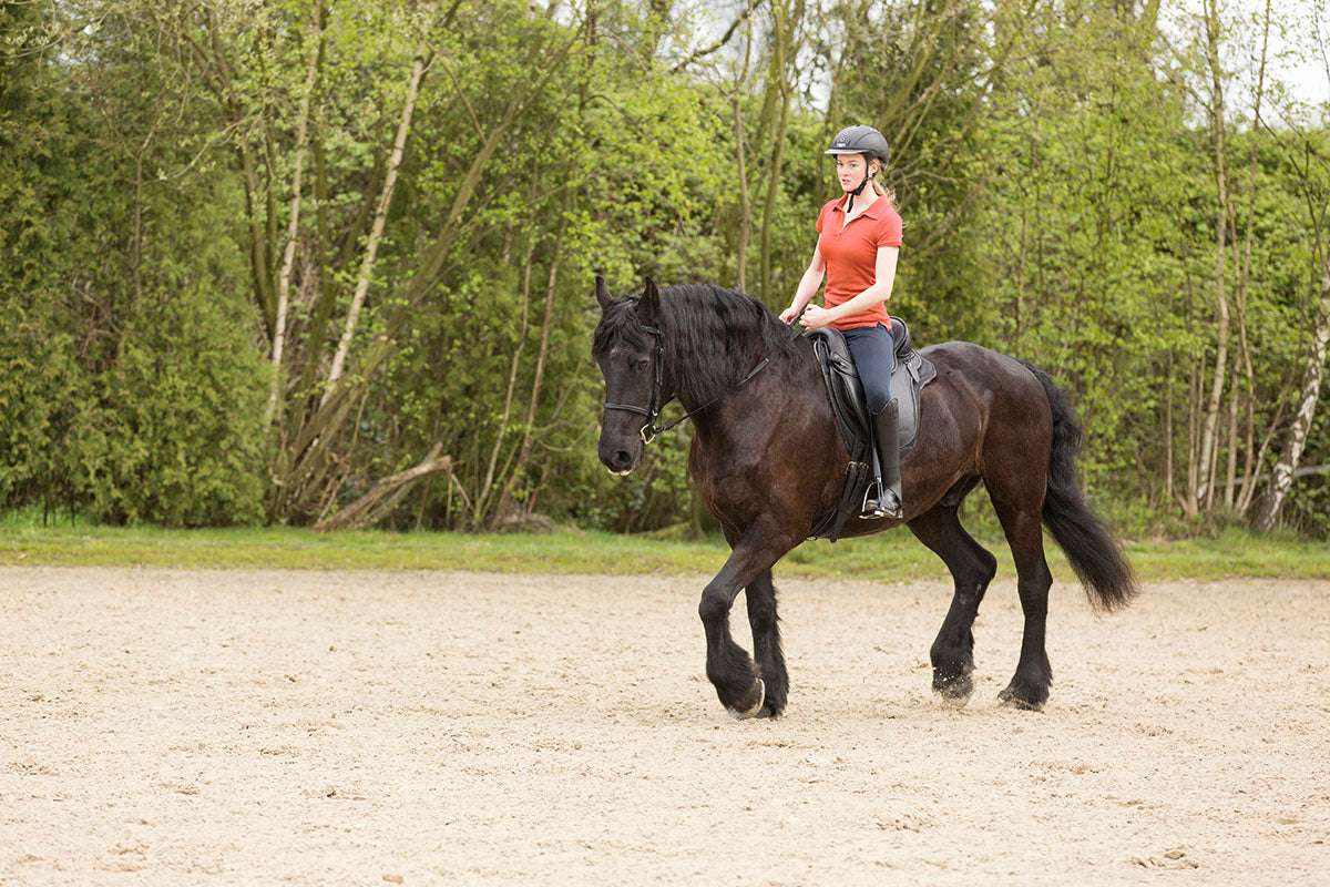 Barefoot Saddle Nottingham - Barefoot Saddles Australia