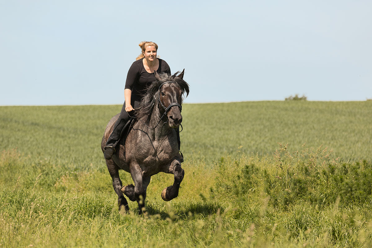 Barefoot Saddle Nottingham - Barefoot Saddles Australia