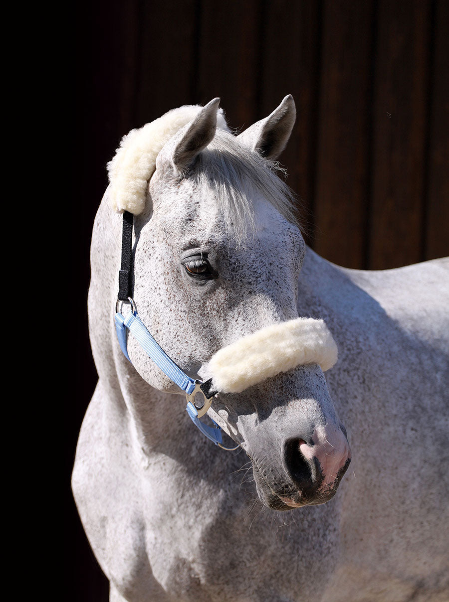 Halter 'Stretch & Breath'® - Barefoot Saddles Australia