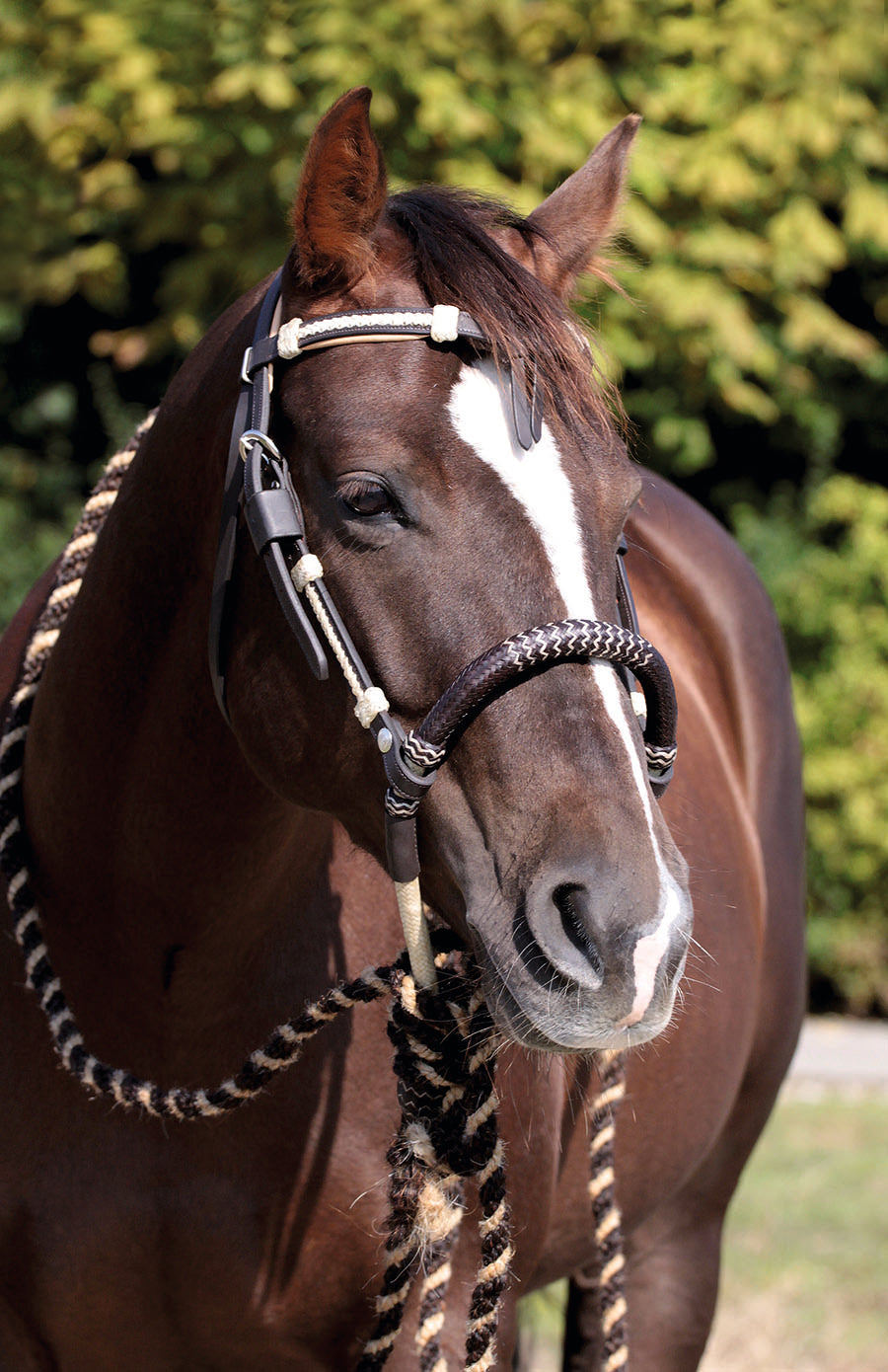 Barefoot® Mecate - Barefoot Saddles Australia