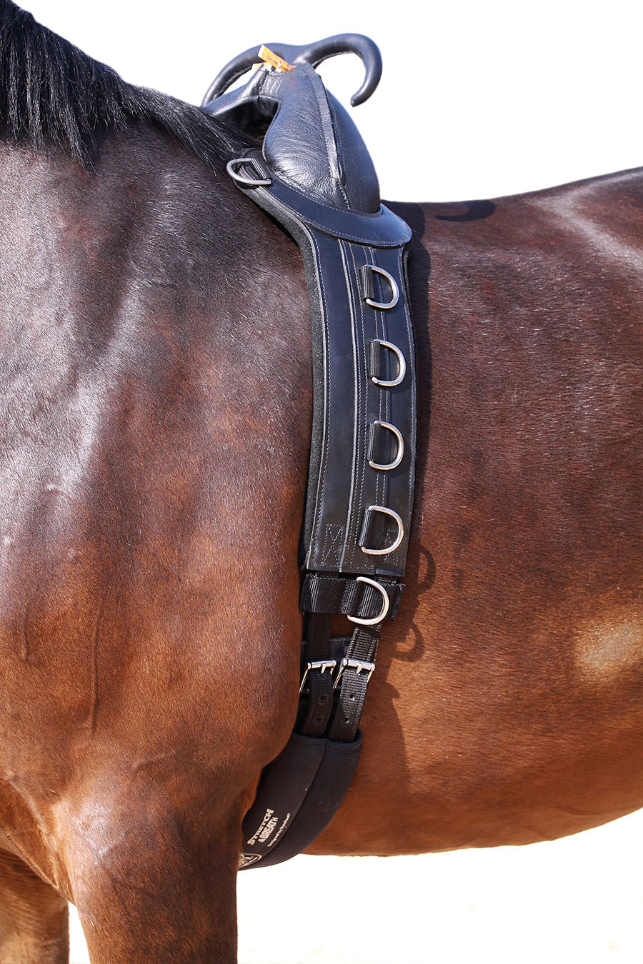 Barefoot® Surcingle with Handles - Barefoot Saddles Australia