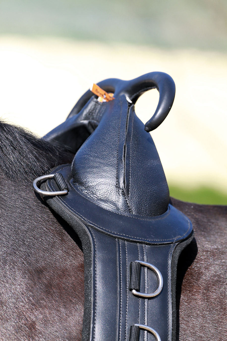 Barefoot® Surcingle with Handles - Barefoot Saddles Australia