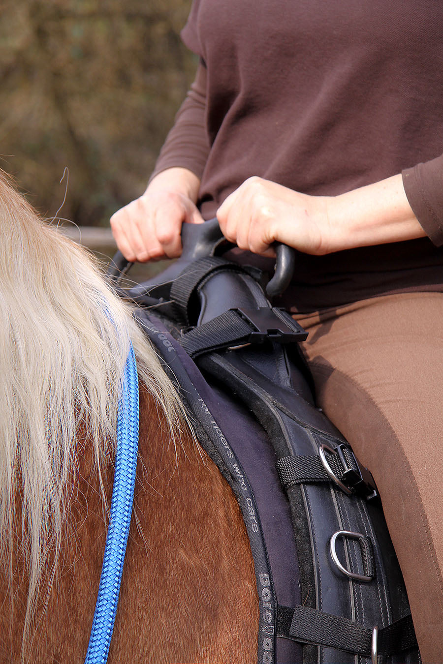 Riding pad for Surcingle