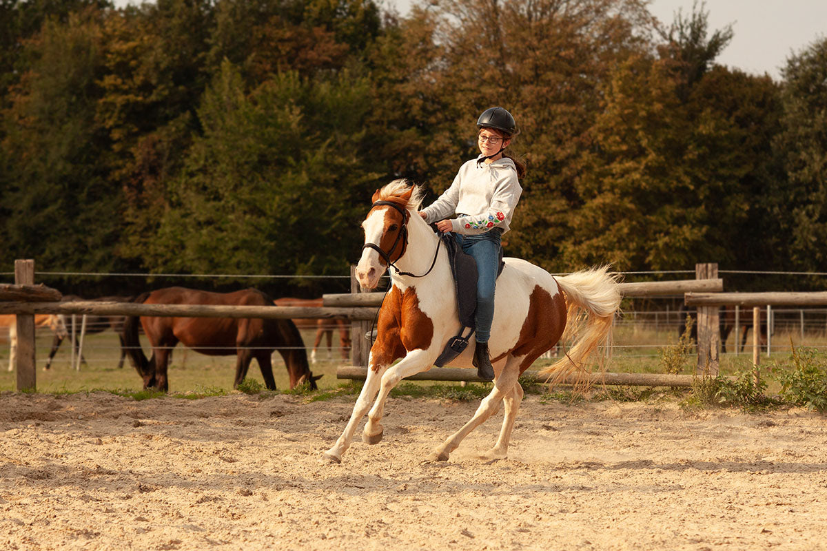 Barefoot Bareback Pad 'Ride-on-Pad'  Physio Support - Barefoot Saddles Australia