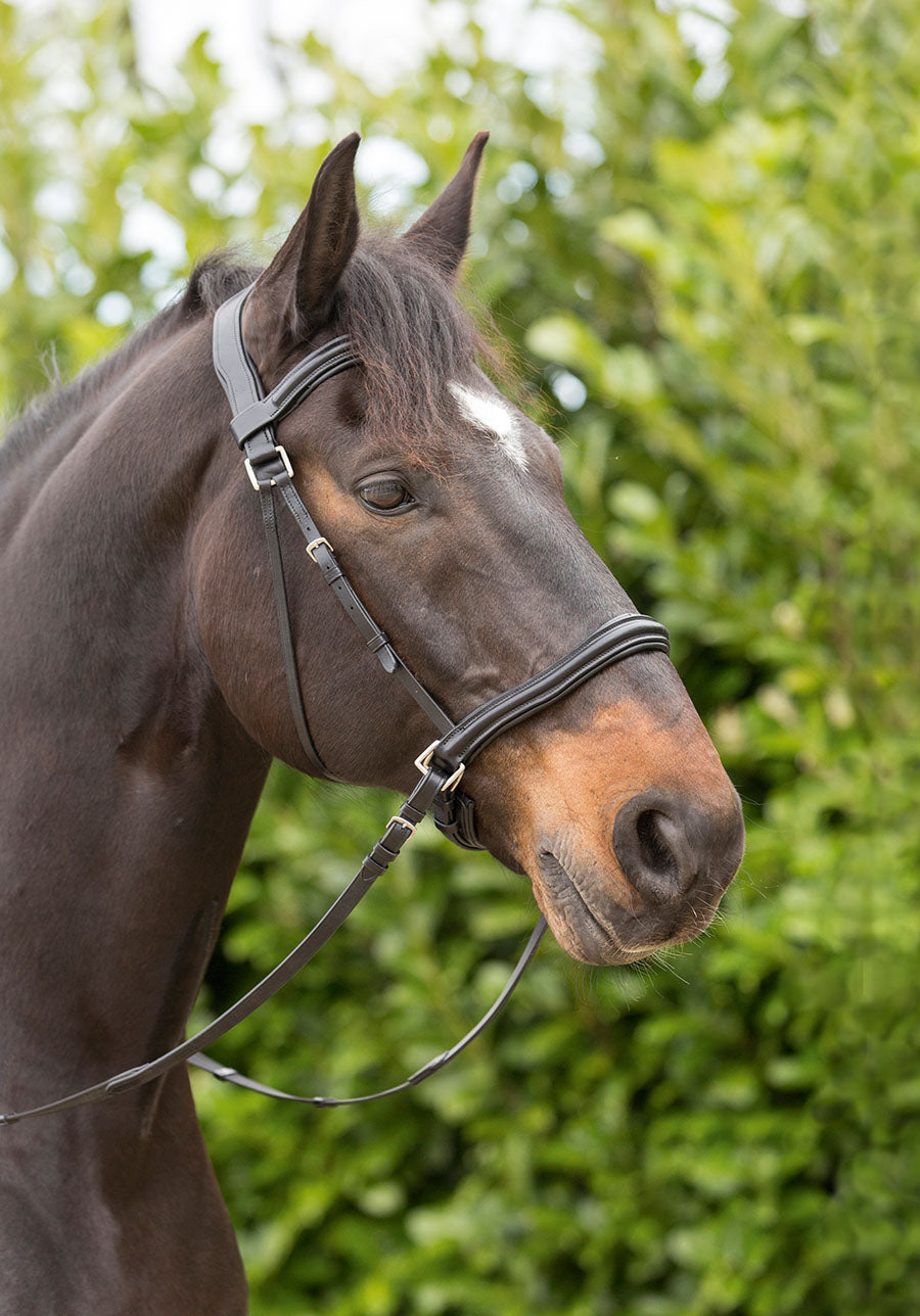 'Wellington Contour' Bitless or Bitted Bridle