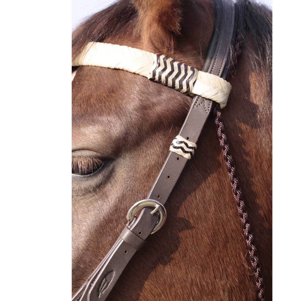 'Acorn' Bitless or Bitted Bridle With Genuine Rawhide - Barefoot Saddles Australia