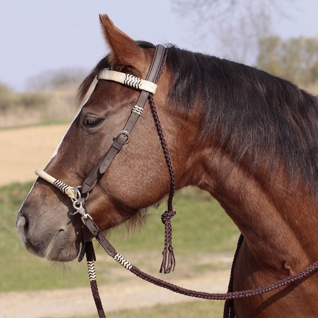 'Acorn' Bitless or Bitted Bridle With Genuine Rawhide - Barefoot Saddles Australia