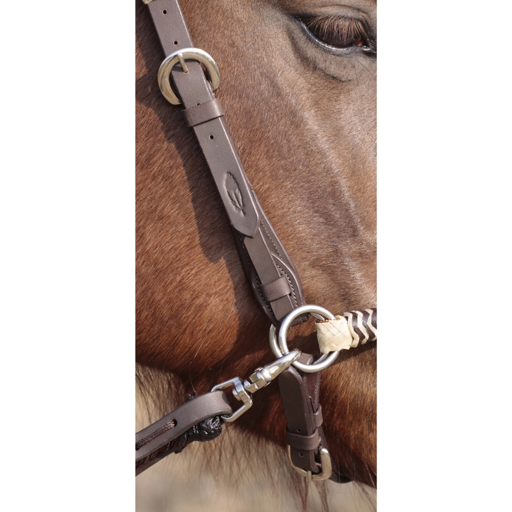 'Acorn' Bitless or Bitted Bridle With Genuine Rawhide