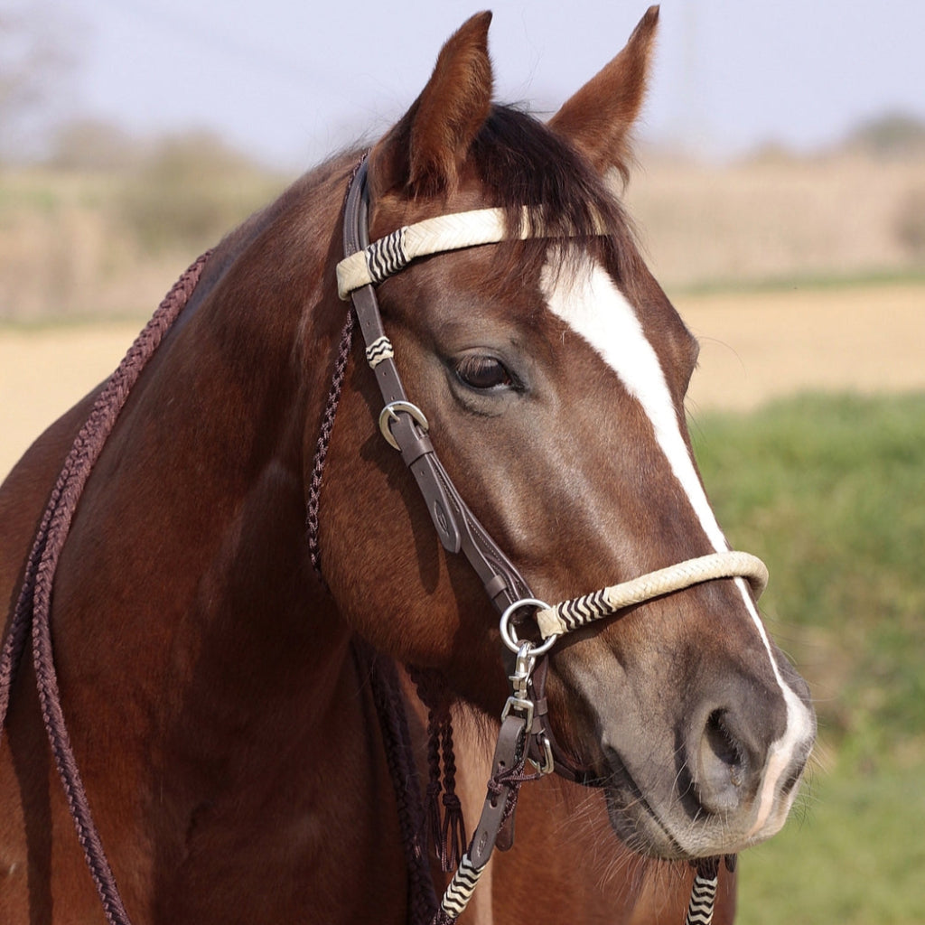 'Acorn' Bitless or Bitted Bridle With Genuine Rawhide - Barefoot Saddles Australia