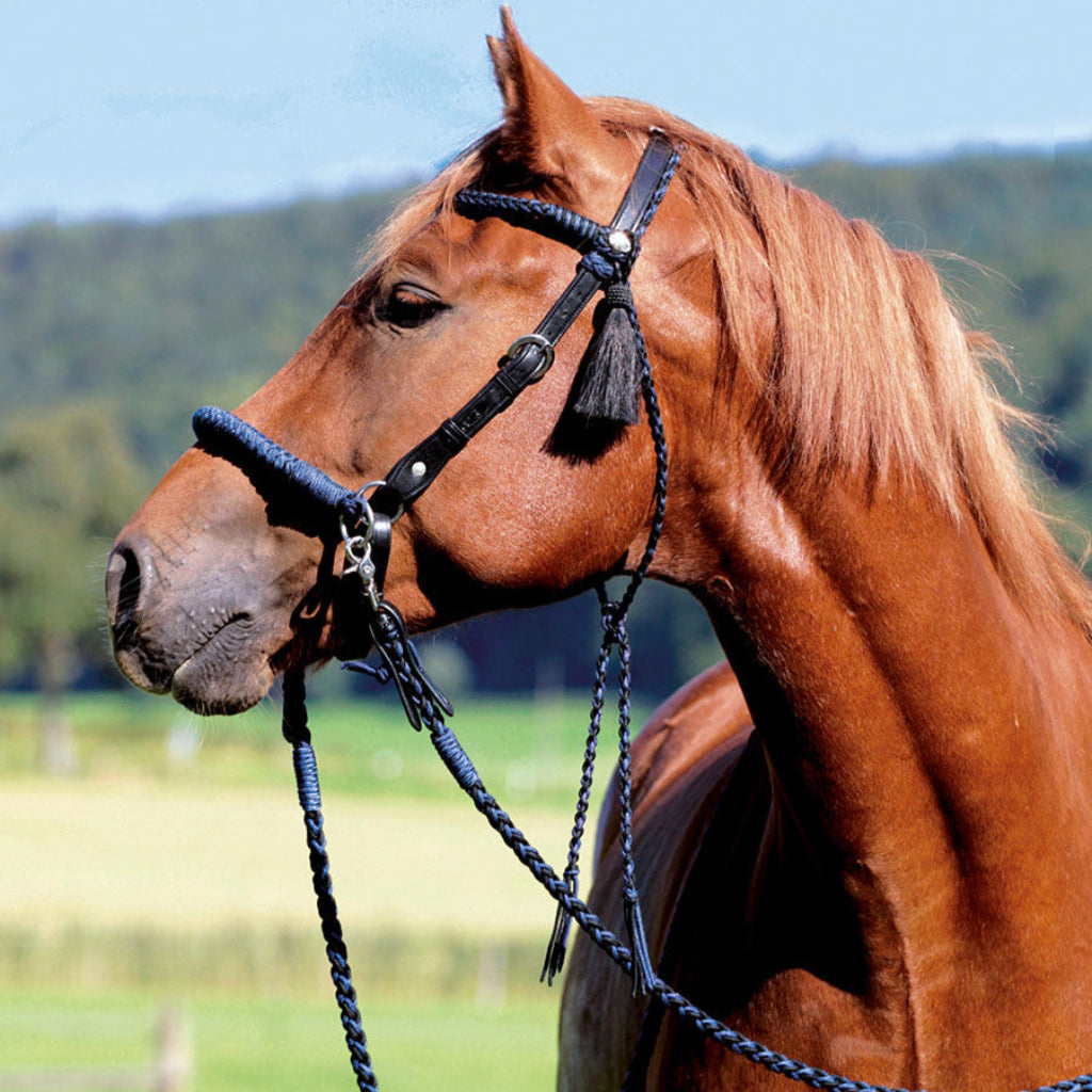 'Amber' Bitless or Bitted Bridle in Blue/Black - Barefoot Saddles Australia