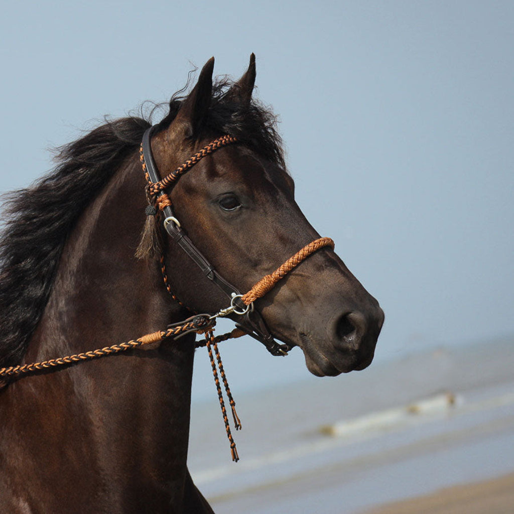 'Amber' Bitless or Bitted Bridle in Brown/Black - Barefoot Saddles Australia