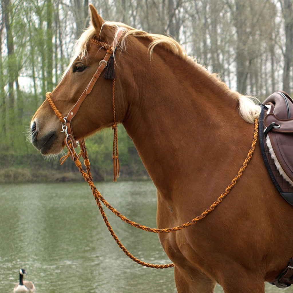 'Amber' Bitless or Bitted Bridle in Cognac/Orange - Barefoot Saddles Australia