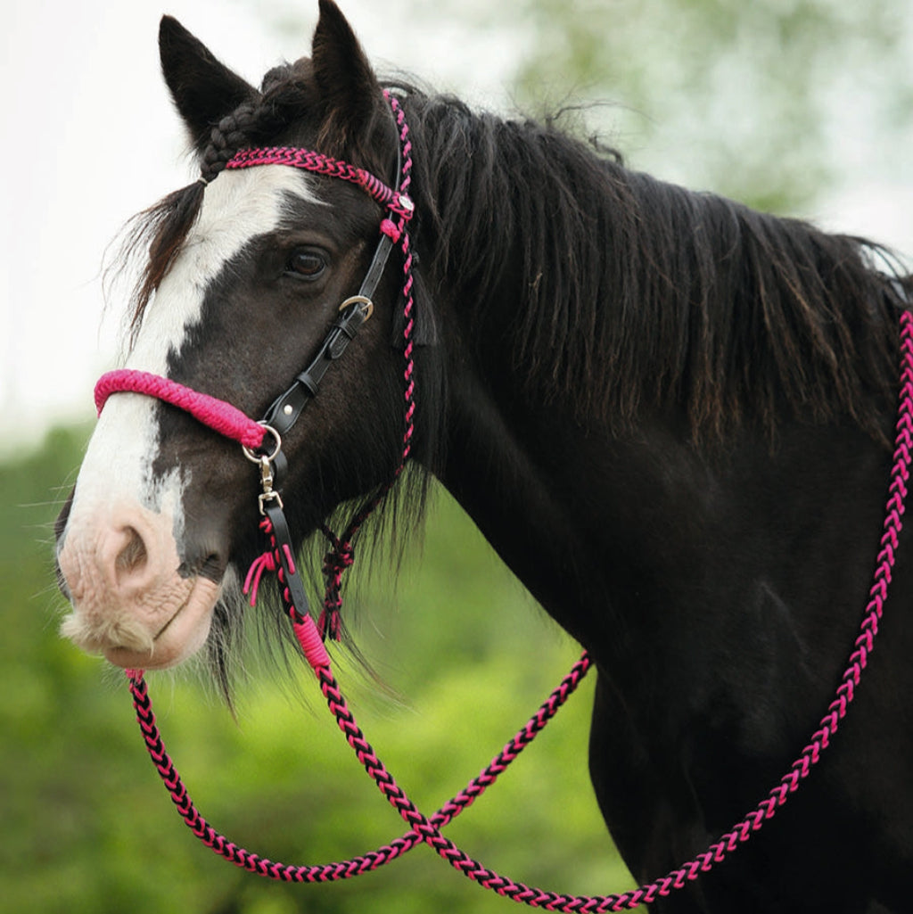 'Amber' bridle and reins black raspberry - Barefoot Saddles Australia