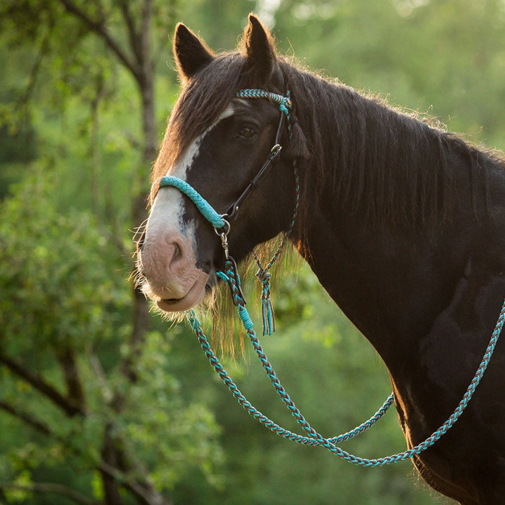 'Amber' bridle and reins in brown turquoise - Barefoot Saddles Australia