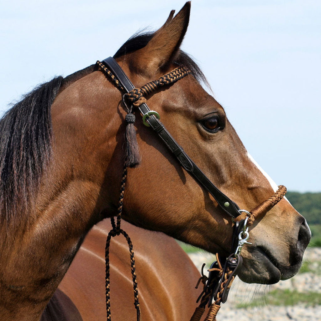 'Amber' Bitless or Bitted Bridle Black Brown - Barefoot Saddles Australia