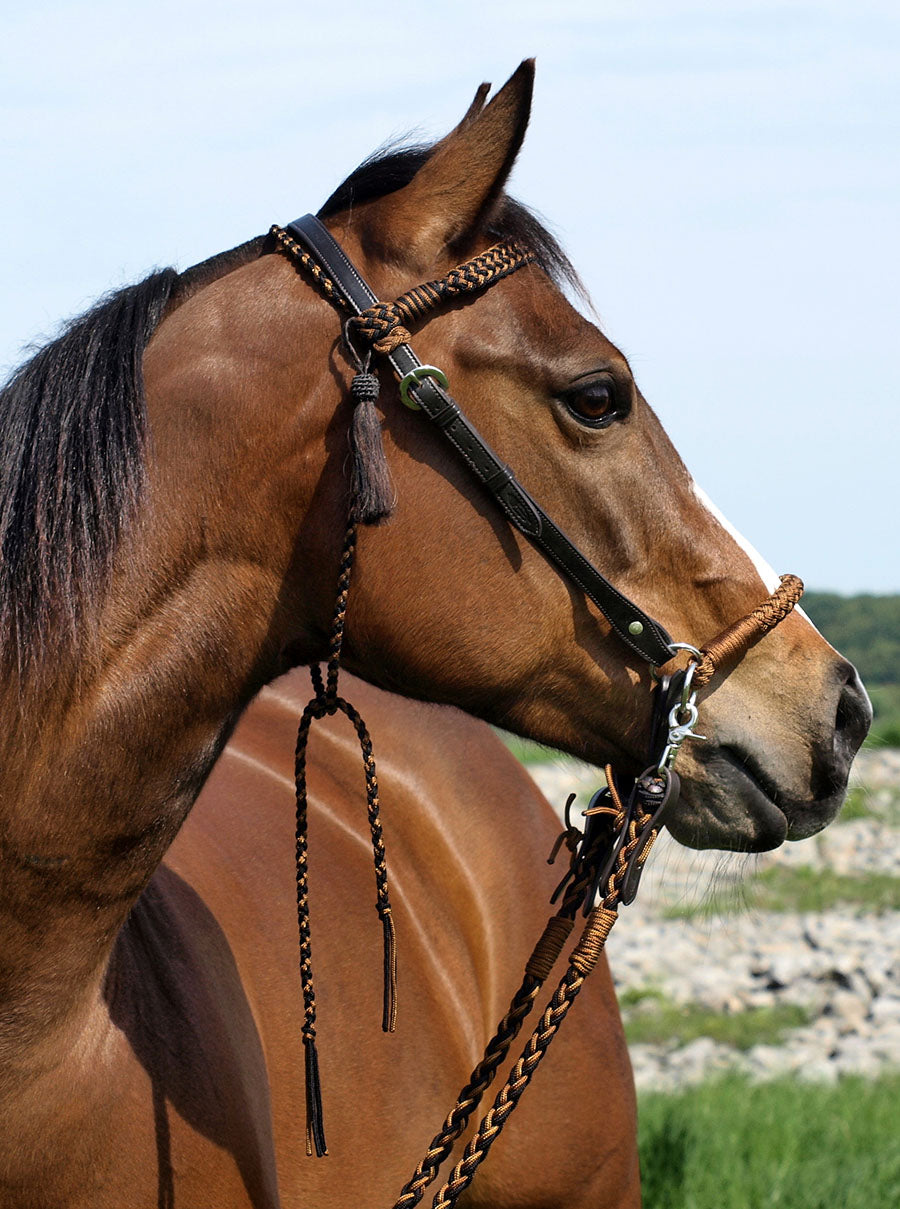 'Amber' Bitless or Bitted Bridle