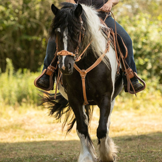 Adjustable Breastplate - Barefoot Saddles Australia