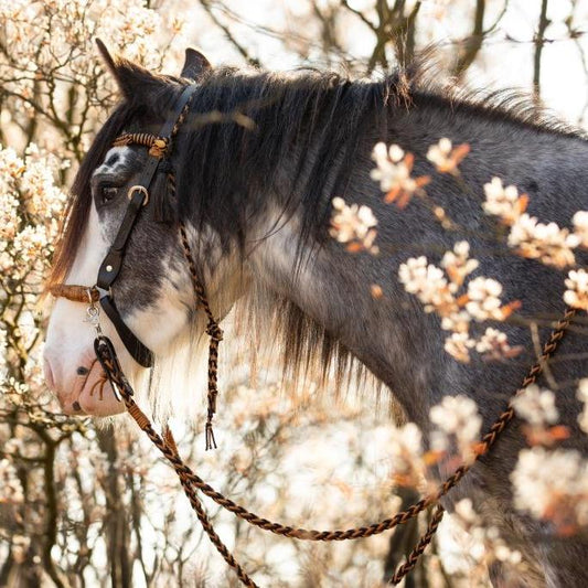 'Amber' Bitless or Bitted Bridle Black Brown - Barefoot Saddles Australia