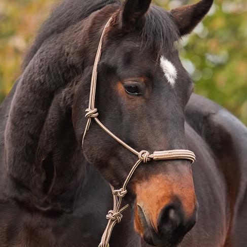 Be Gentle Halter - Barefoot Saddles Australia