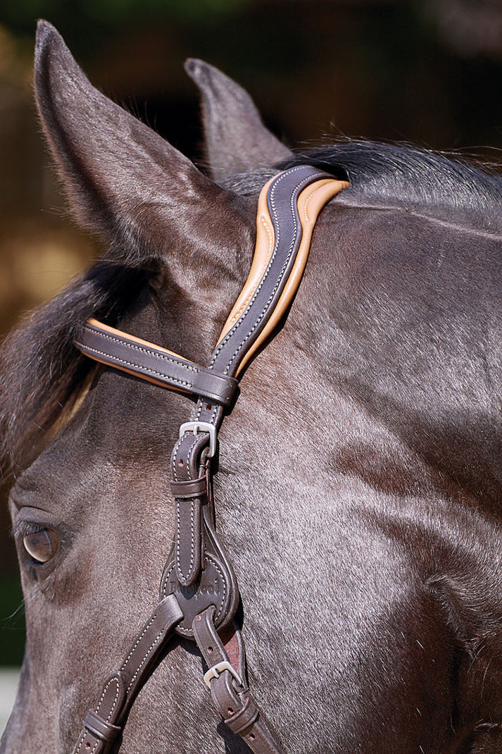 Barefoot® 'Contour Physio' Bitless or Bitted Bridle - Barefoot Saddles ...