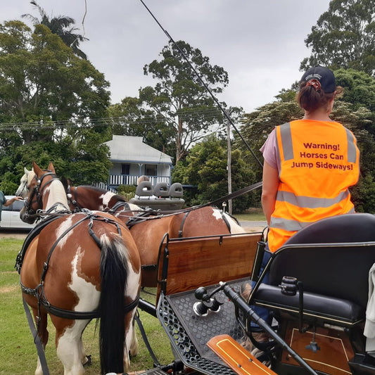 Safety Vest for Carrige Driving - Barefoot Saddles Australia